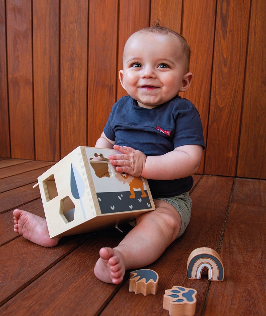 wooden-shape-sorter (1)