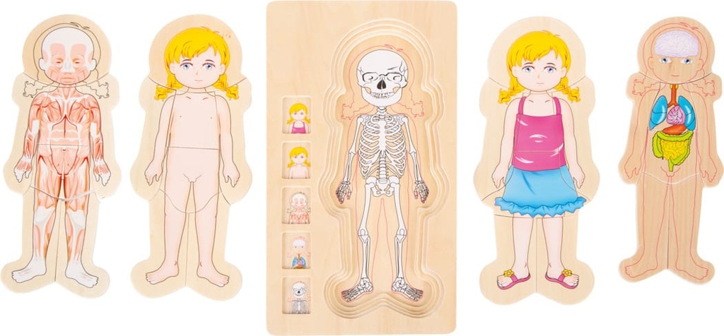 puzzle-anatomia-chica4