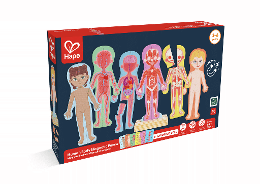 Puzzle magnético del cuerpo humano - Hape